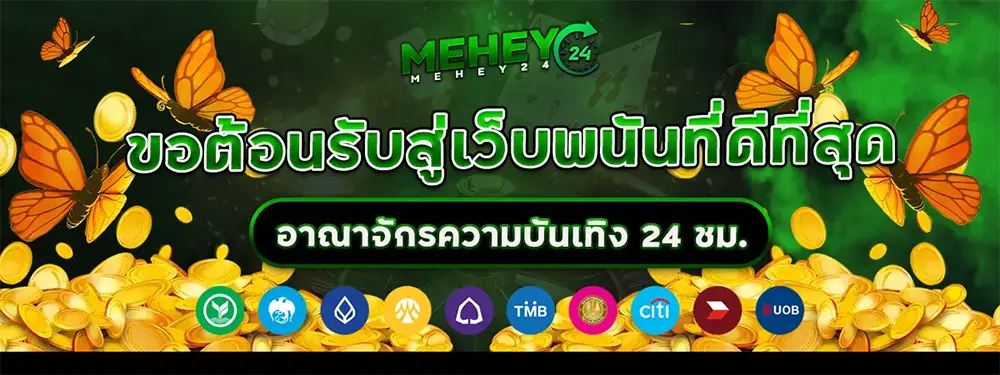 ทางเข้า MEHEY24 เว็บตรงไม่ผ่านเอเย่นต์