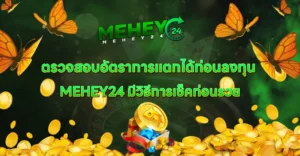 MEHEY24-banner-blog-3